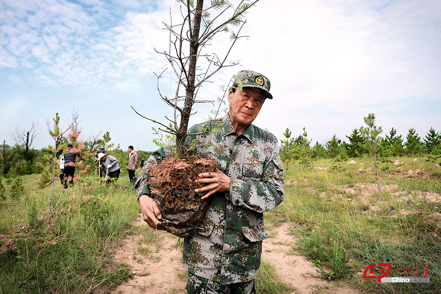 （单人照）（摄影：丁美宁）（28）与苗木基地工人在山西大同左云县张家场乡北梁山坡种树时，张连印搬运树苗（2021年7月16日摄）。（丁美宁摄）的副本 拷贝.jpg