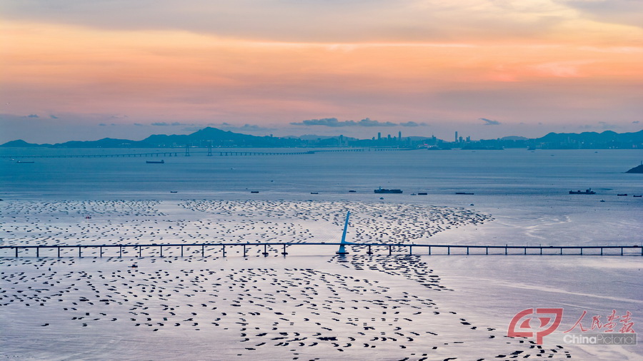 038-万全18500782713-DJI_20250624191254_0191_D_WQ13167-已增强-NR.jpg