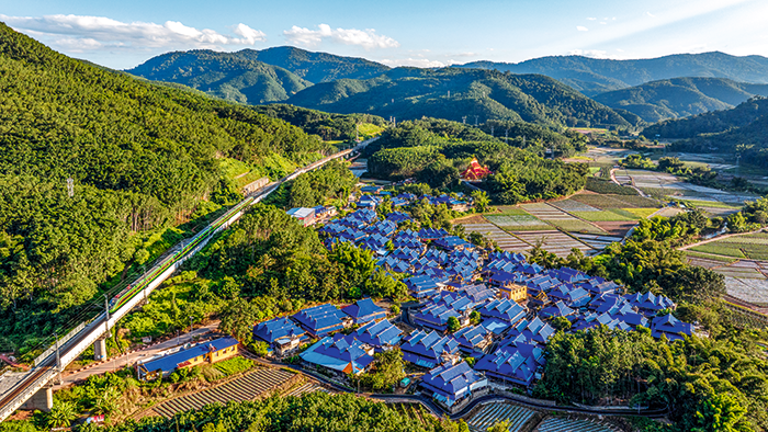 幸福-中老铁路在磨憨镇曼庄村旁，和谐号列车驰骋在青山间+拍摄时间，2023年11月，拍摄地点，磨憨镇曼庄村大龙哈村民小组.png