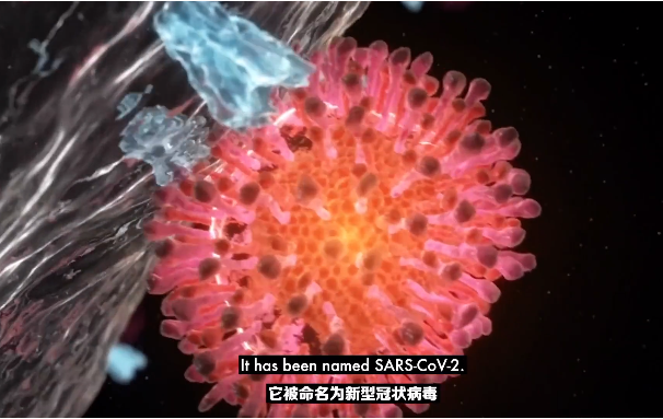 微信图片_20200407232649.png
