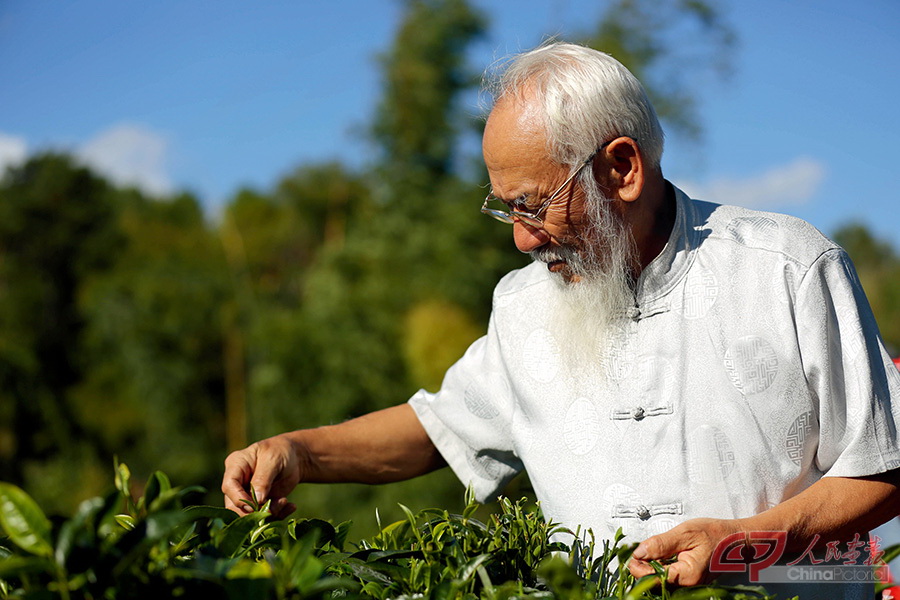 普洱贡茶膏技艺传承人-李韵德4.jpg